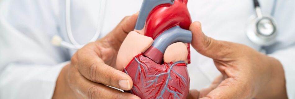 Score de Risco Cardiovascular em Portugal: Prevenção e Gestão
