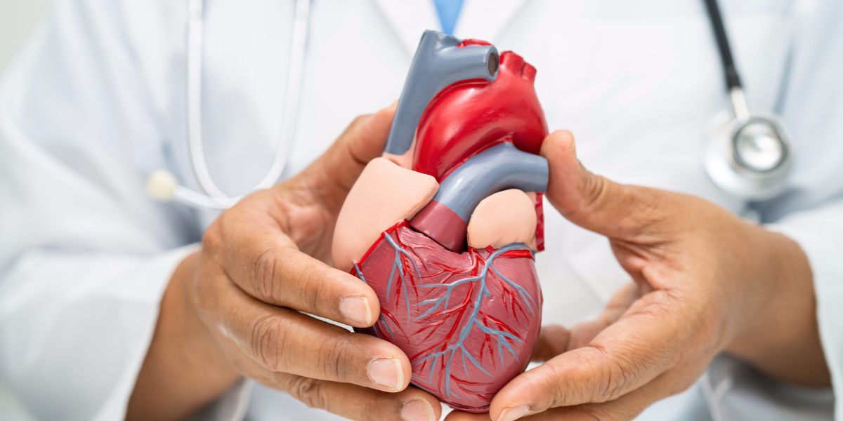 Score de Risco Cardiovascular em Portugal: Prevenção e Gestão